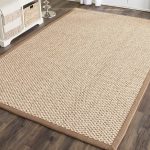 Sisal Rugs With Borders For Living Room