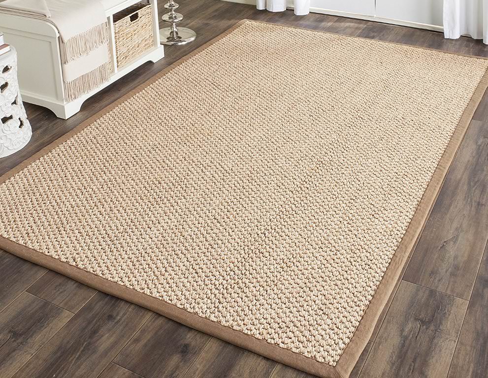 Image of: Sisal Rugs With Borders For Living Room