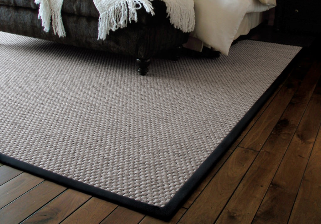 Image of: Sisal Rugs With Borders Style