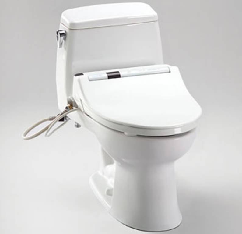 Image of: Toilet Home Depot
