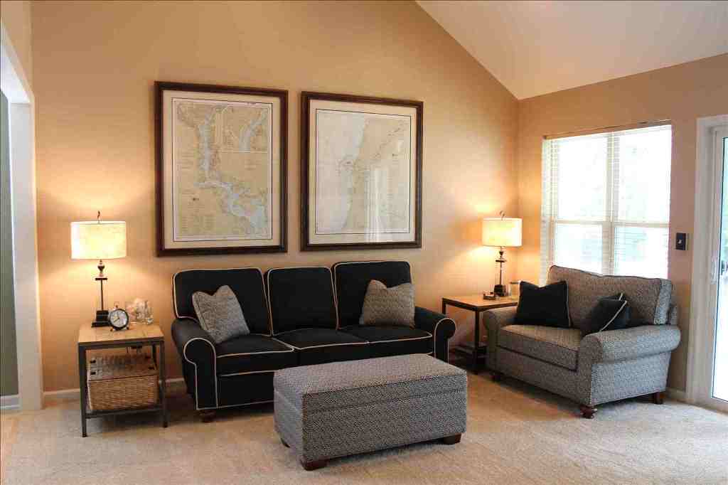 Image of: kilim beige living room