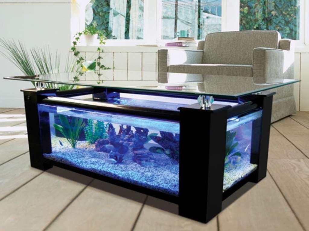 Image of: amazing-coffee-tables