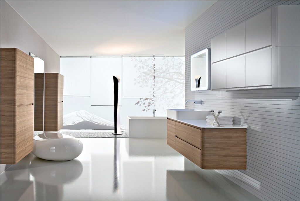Image of: contemporary bathrooms style